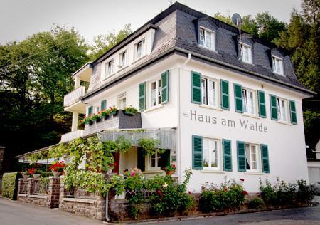 Pension "Haus Am Walde" Brodenbach, Mosel Exterior photo