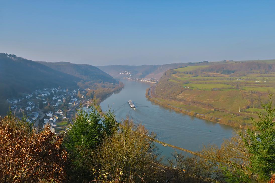 Pension "Haus Am Walde" Brodenbach, Mosel Exterior photo