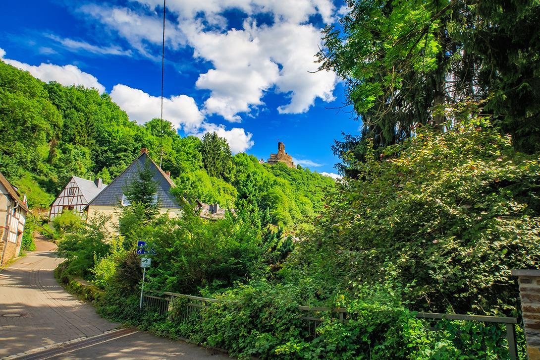 Pension "Haus Am Walde" Brodenbach, Mosel Exterior photo